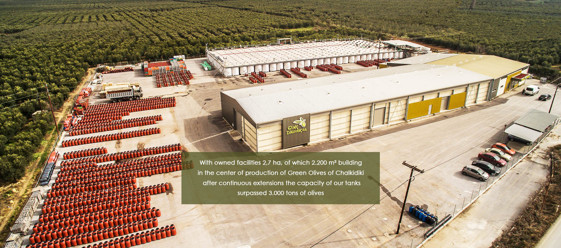 Ελιές Χαλκιδικής