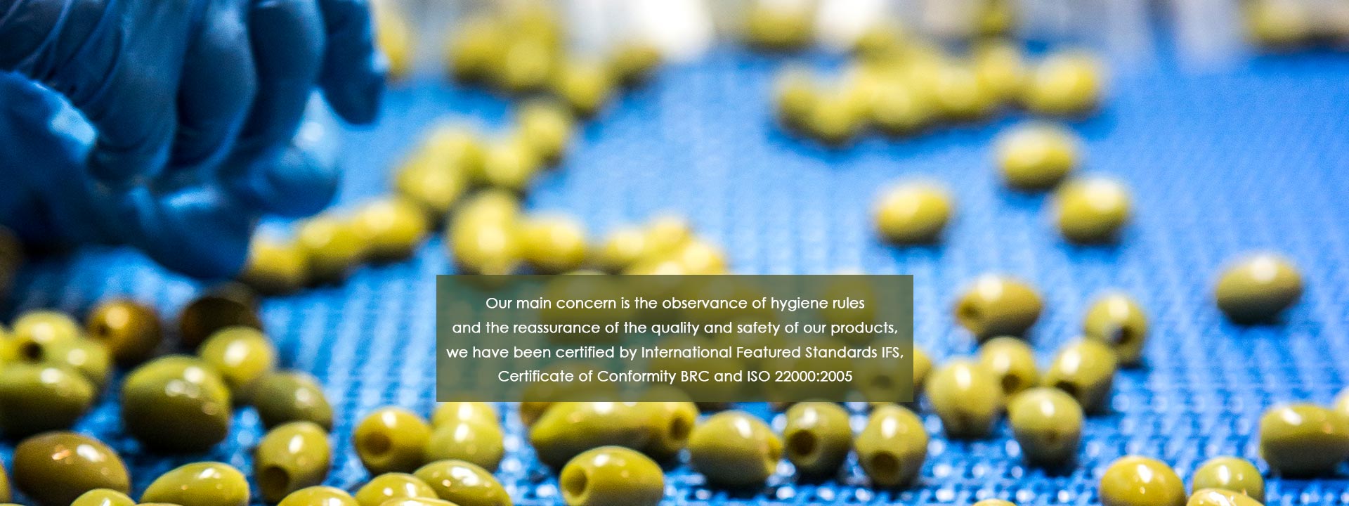 Πράσινες ελιές Χαλκιδικής